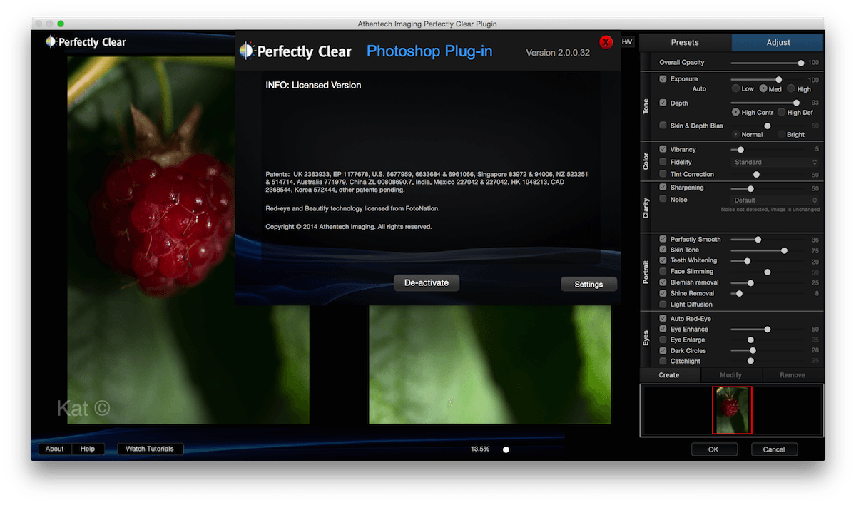 Perfectly Clear WorkBench 4.6.0.2570 free download