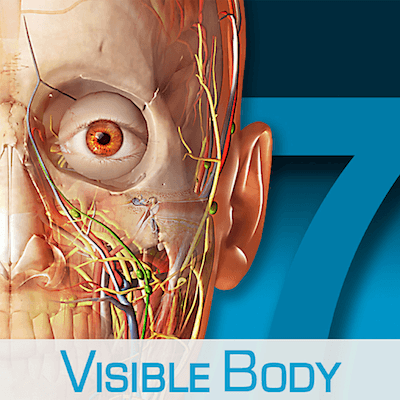 Human Anatomy Atlas 7.4.01 download | Mac OS