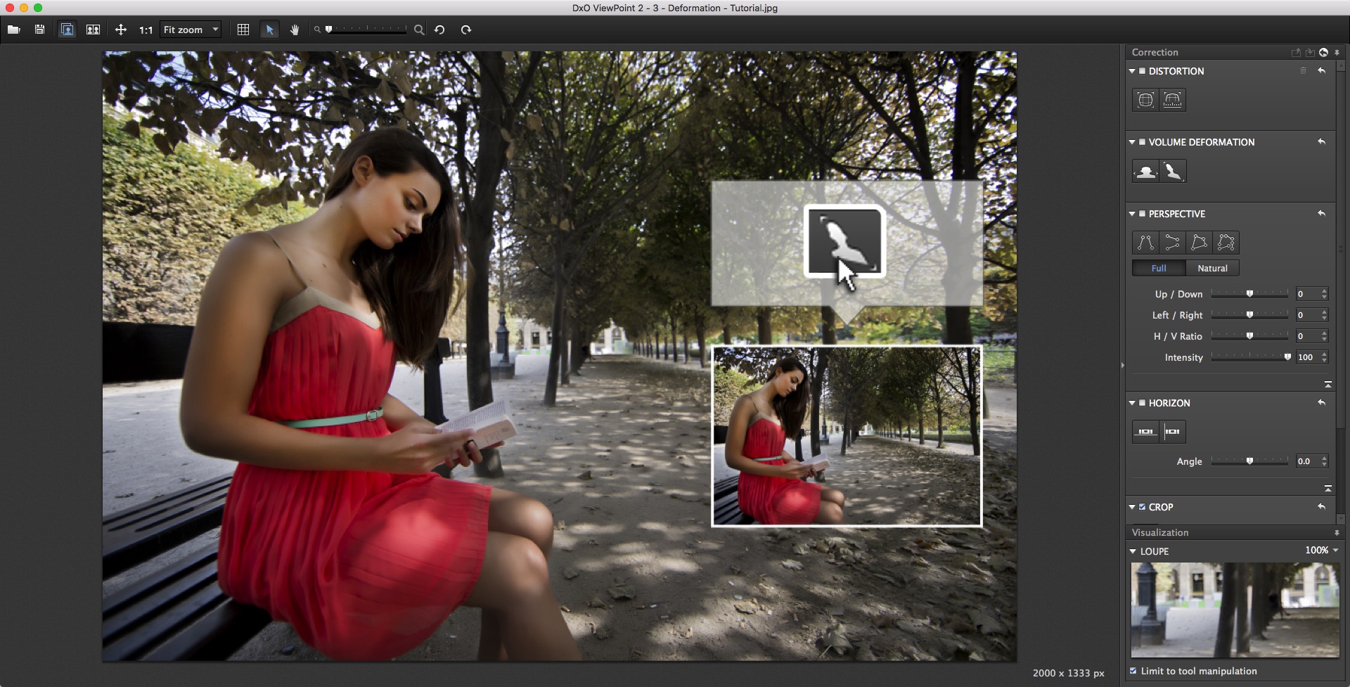 DxO ViewPoint 4.8.0.231 instal the new version for mac