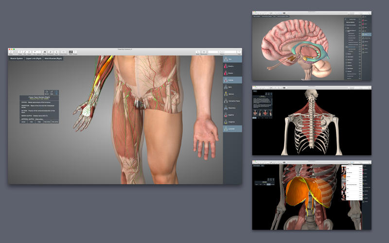 essential anatomy 5 vs human anatomy atlas