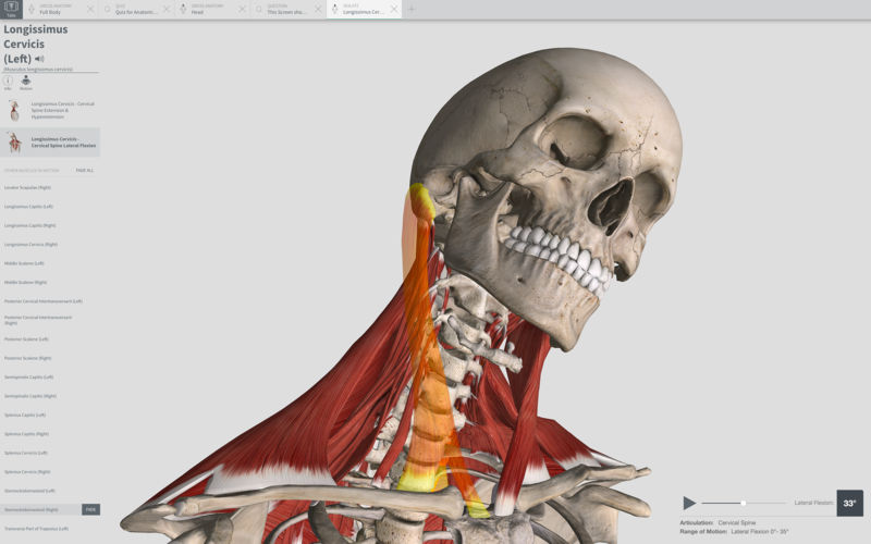 Human Anatomy Atlas 7.4.01 download free