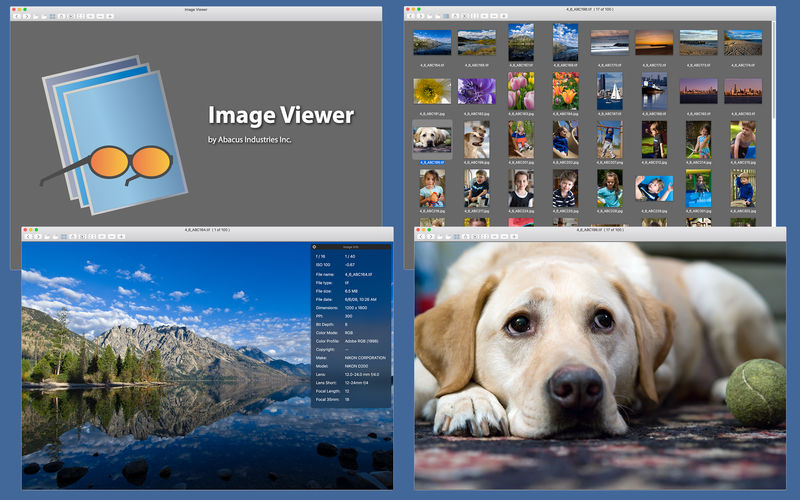 good picture viewer for mac