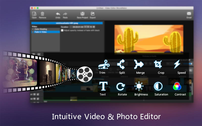 video editor moviemator wont export