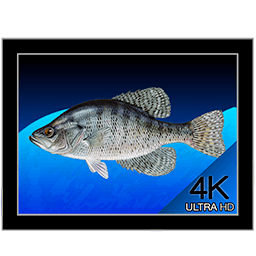 Aquarium 4K - Live Wallpaper 1.0.1