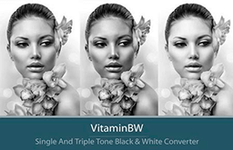 VitaminBW 2.0.2 for Adobe Photoshop