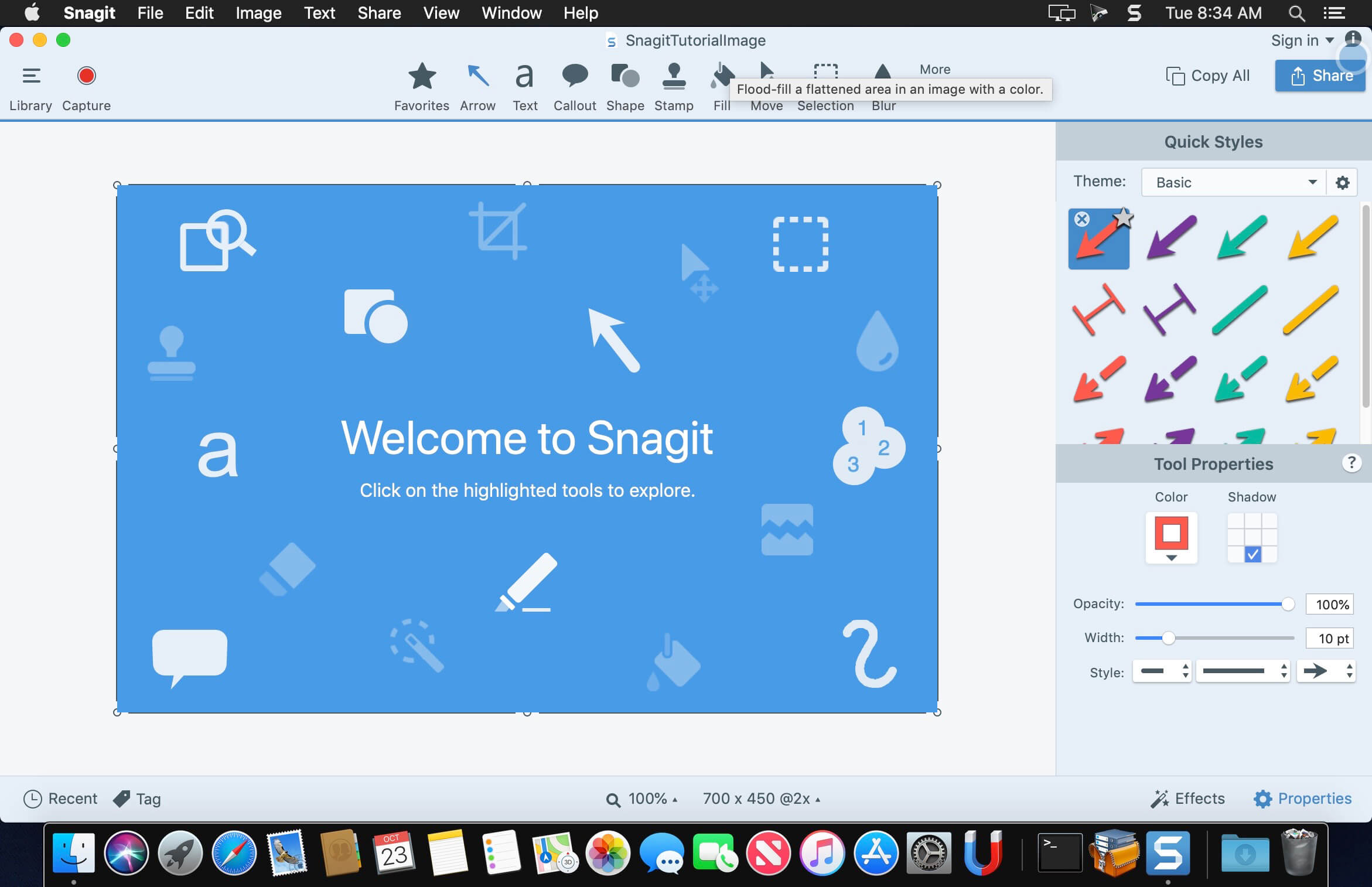 snagit 2019 resize image