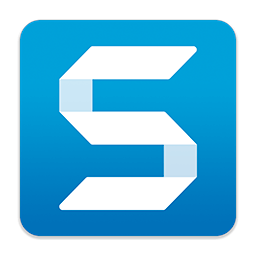 TechSmith Snagit 2019.1.6