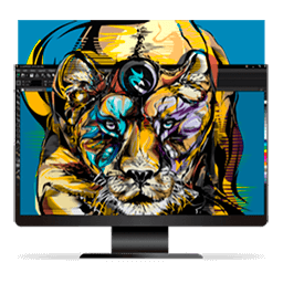 CorelDRAW Graphics Suite 2019 v21.0.0.593 CR2