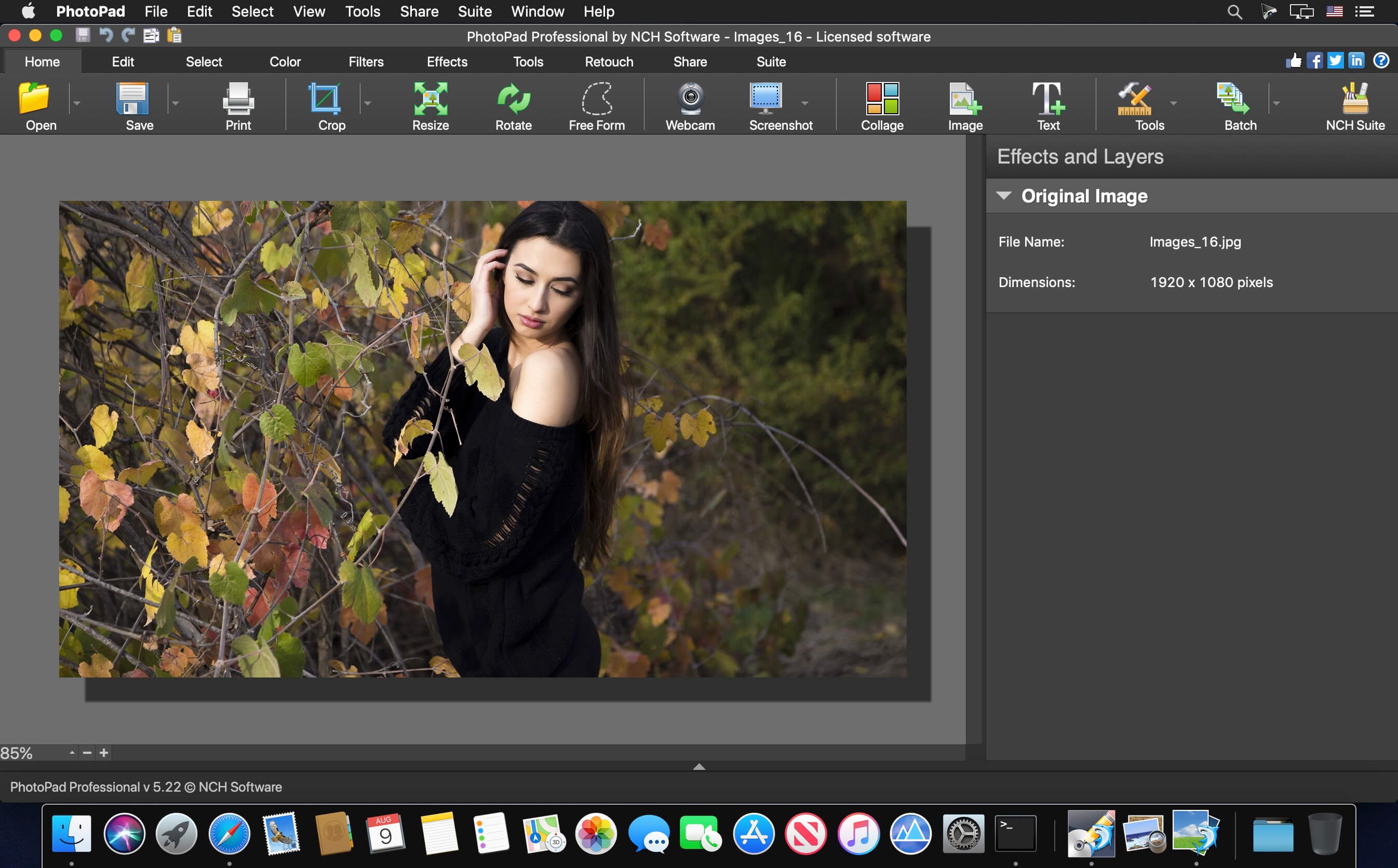 download the last version for ios NCH PhotoPad Image Editor 11.47
