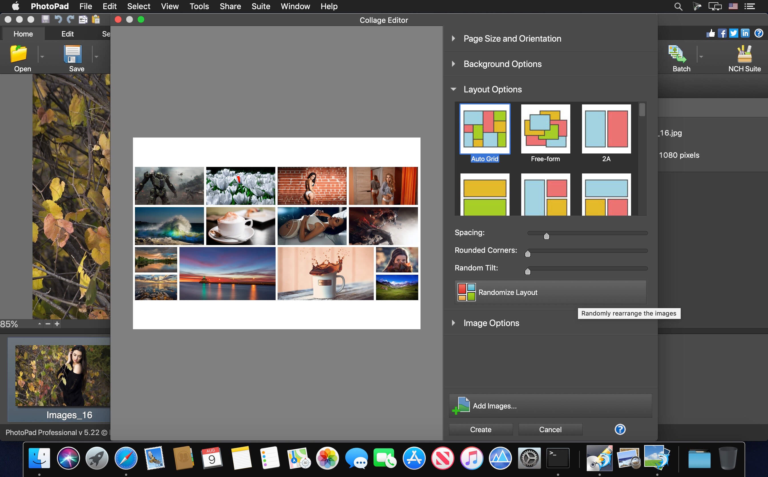 for mac download NCH PhotoPad Image Editor 11.56
