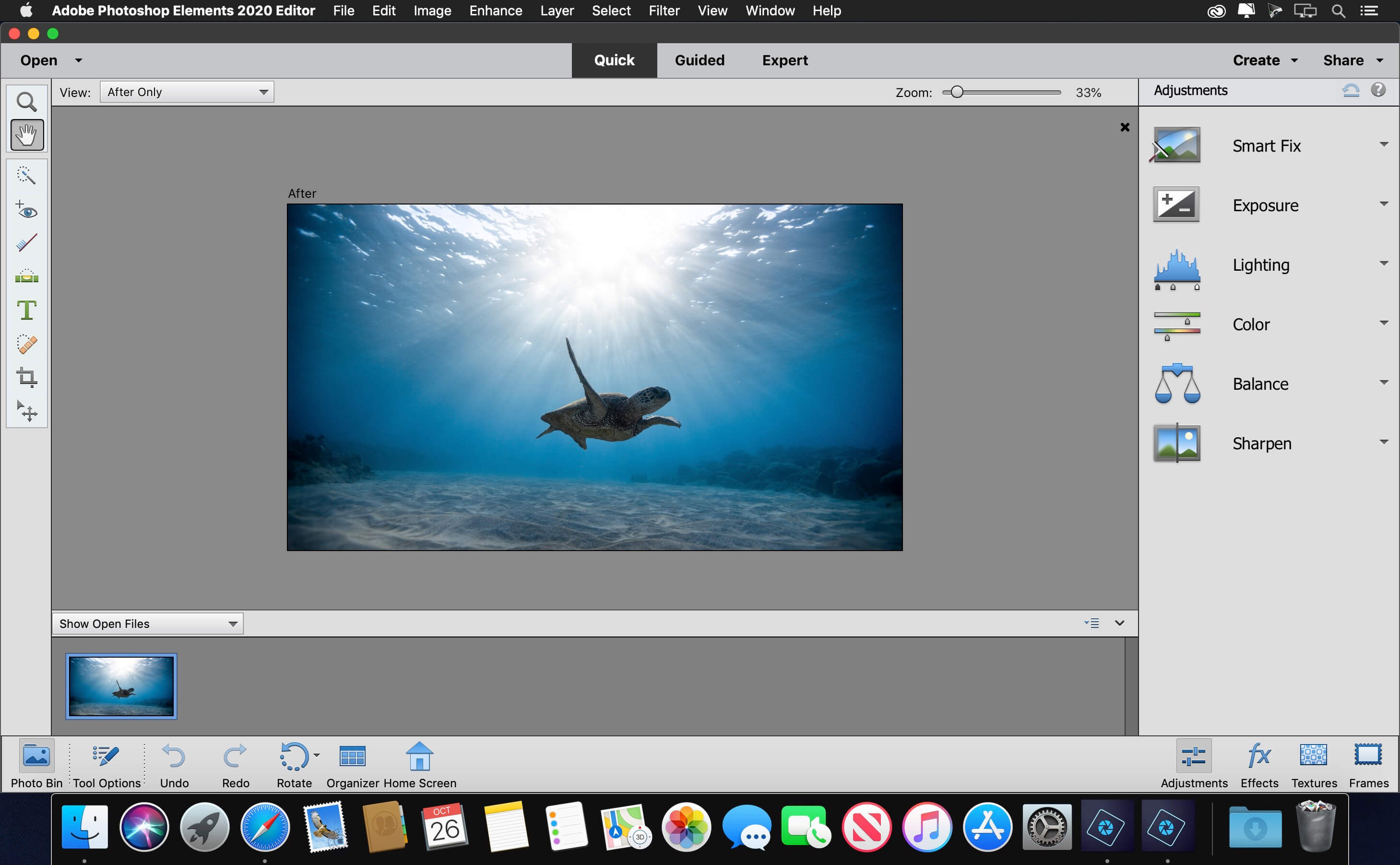 adobe photoshop elements 5.0 screenshot