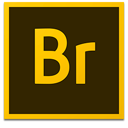 Adobe Bridge 2020 v10.0.2