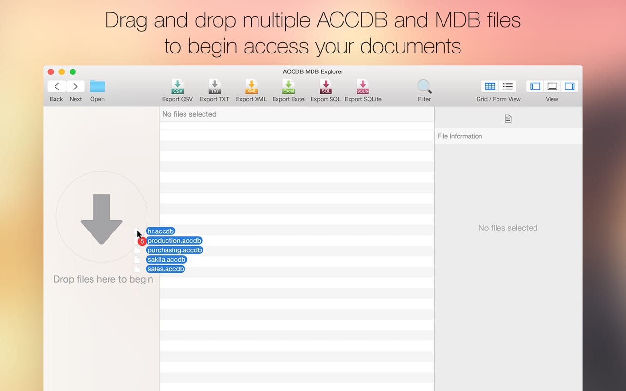 free for mac instal MDB ACCDB Viewer
