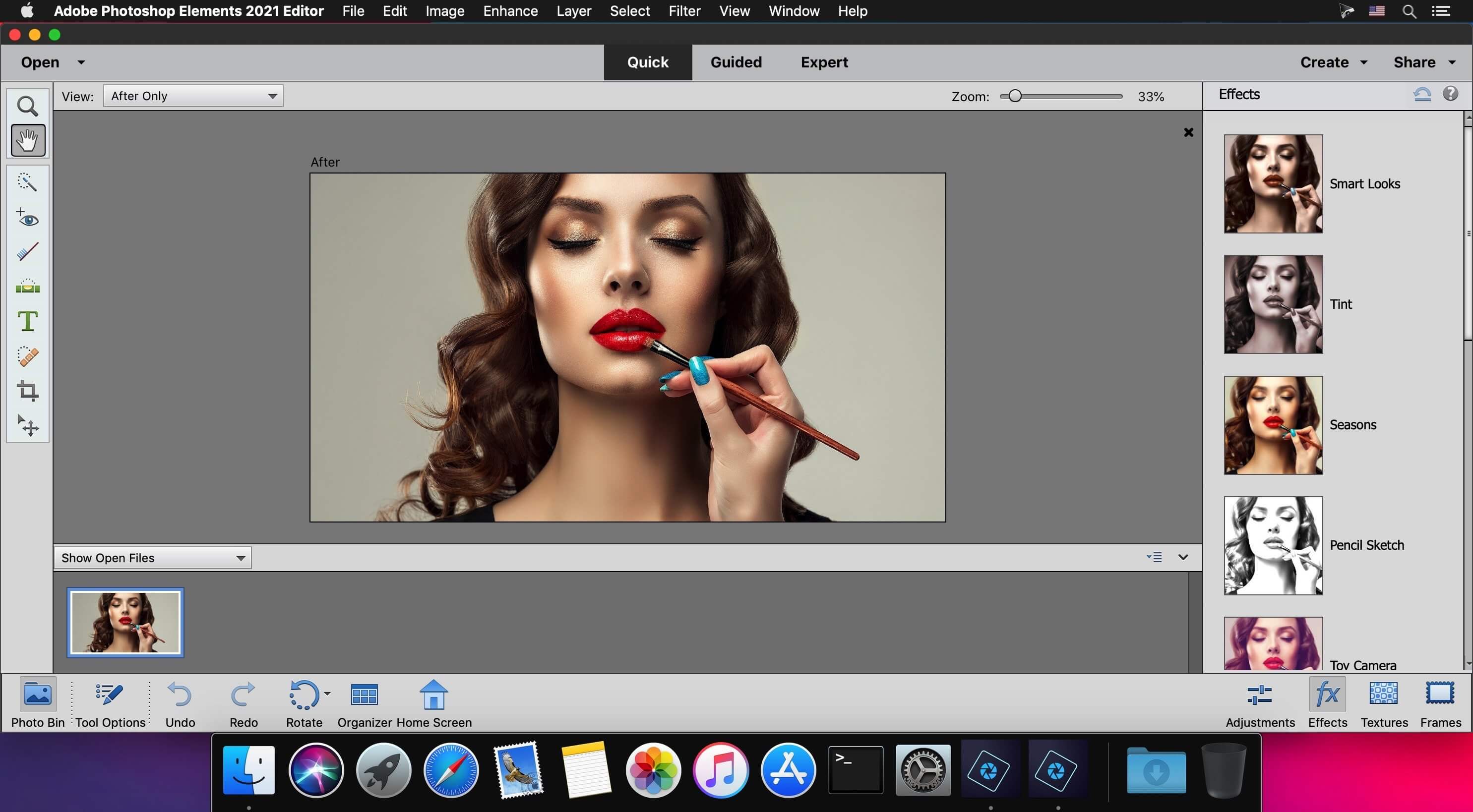 Adobe Photoshop Elements 2021.2 download | macOS