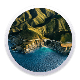 macOS Big Sur 11.6.1 (20G224)