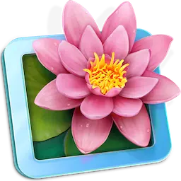 LilyView 1.8.0